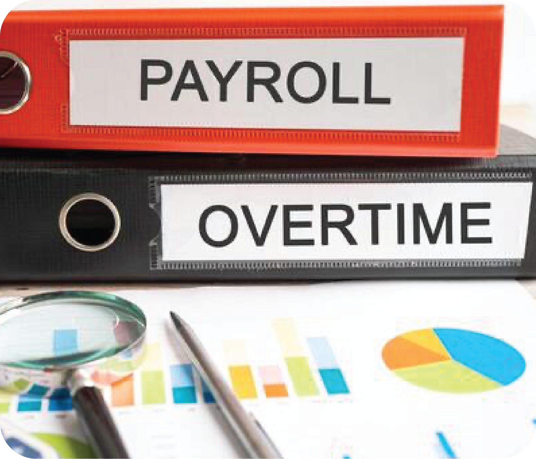 Competitive salary & bonuses
